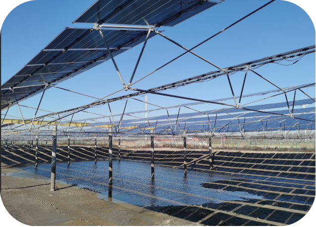 Flexible Custom Solar Mounting Systems: Innovative Solutions from a Chinese Manufacturer