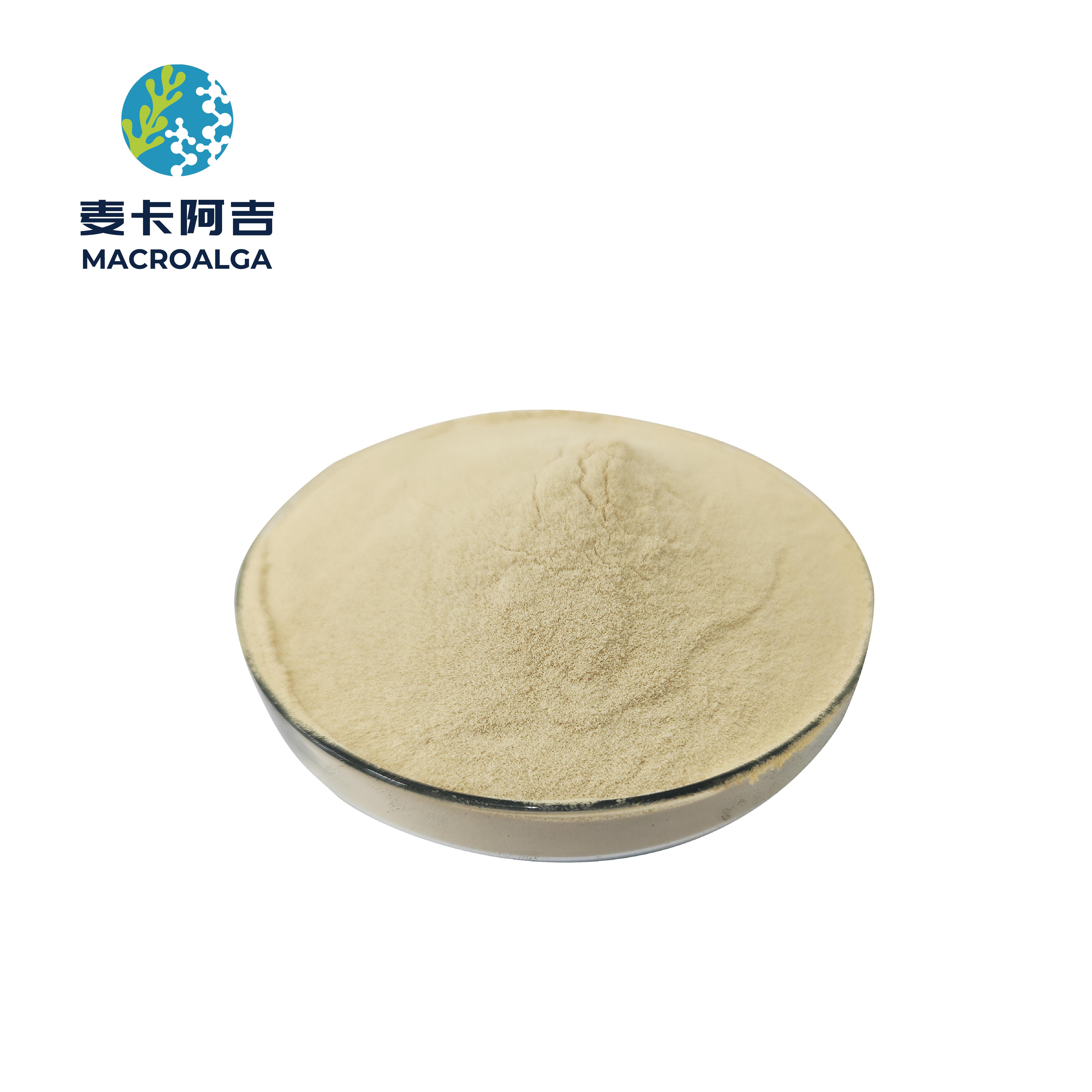 China Protein Hydrolysate Original Manufacturer: Premium Solutions for Global Markets