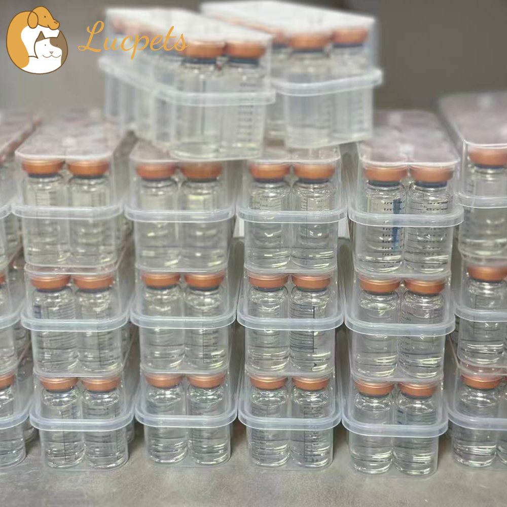 China Feline GS-441524: Effective Treatment for FIP